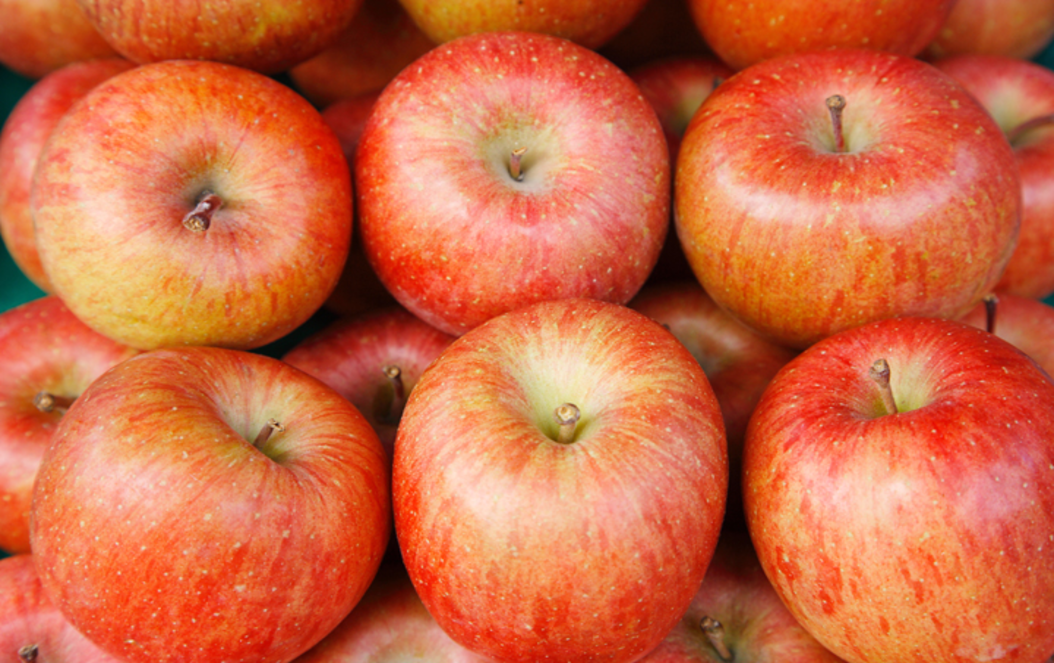 �C���[�W02